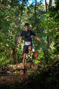 BIB: 1156, 
                            <button type="button" onclick="openModal(19229743)" class="btn btn-primary btn-sm float-right btn-popup" data-toggle="modal" data-target=".modal-high-quality">
                        <i class="fas fa-shopping-cart"></i> Add to Cart
                    </button>
                                            <button type="button" onclick="isThisMe(19229743, true)" class="btn btn-success btn-sm float-right btn-popup btn-isme hidden" data-toggle="tooltip" data-placement="bottom" title="นี่คือรูปของคุณใช่ไหม คลิกที่นี่เพื่อเอาเข้าอัลบั้ม">
                        <i class="fas fa-plus"></i> Add to album
                    </button>
                    <button type="button" onclick="isThisMe(19229743, false)" class="btn btn-warning btn-sm float-right btn-popup btn-isnotme hidden">
                        <i class="fas fa-ban"></i> Remove from album
                    </button>